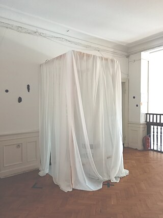 Überwuchern + Botschaft der Natur, Stettin