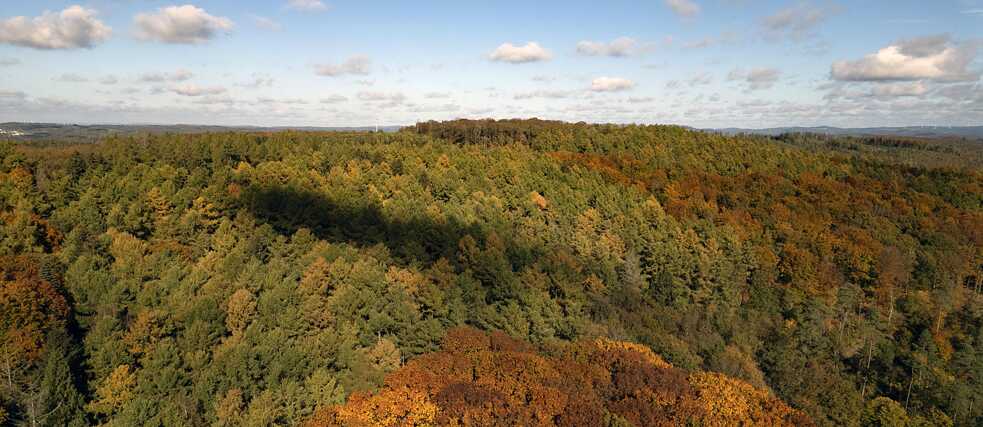 Autumnal vibes in the Siegerland region.