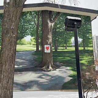 Illustration: un arbre avec un coeur sur le tronc