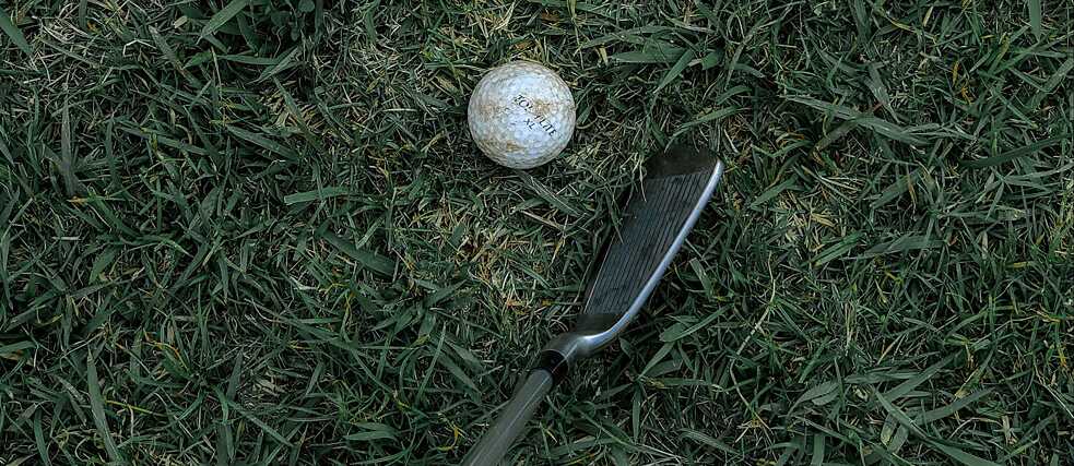 Golf club and ball in the grass