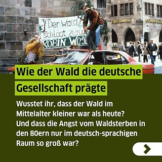 Text auf Bild: Wie der Wald die deutsche Gesellschaft prägte. Wusstet ihr, dass der Wald im Mittelalter kleiner war als heute? Und dass die Angst vom Waldsterben in den 80ern nur im deutschsprachigen Raum so groß war?  