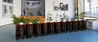 Artwork including plants in pots