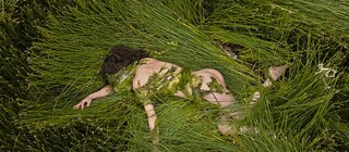 Ein nackter Körper liegt im Gras