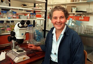 Christiane Nüsslein-Vollhard an ihrem Arbeitsplatz im Max-Planck-Institut Tübingen. 