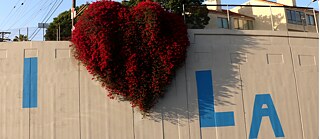 Das „Hollywood Herz“