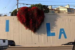 Das „Hollywood Herz“