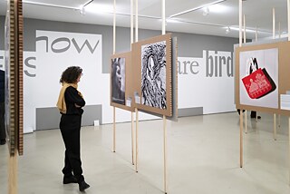 Once We Were Trees, Now We Are Birds