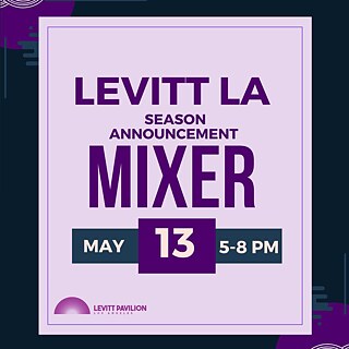 LEVITTMIXER-1080x1080