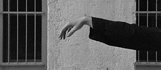 Performance Acedia 2300x1000