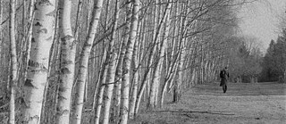 Performance Mutus 2300x1000