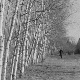 Performance Mutus square