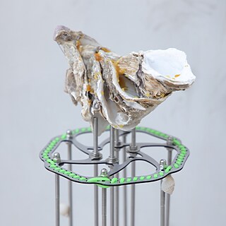 DBN PRELUDE – DEKOLONIAL GAZE