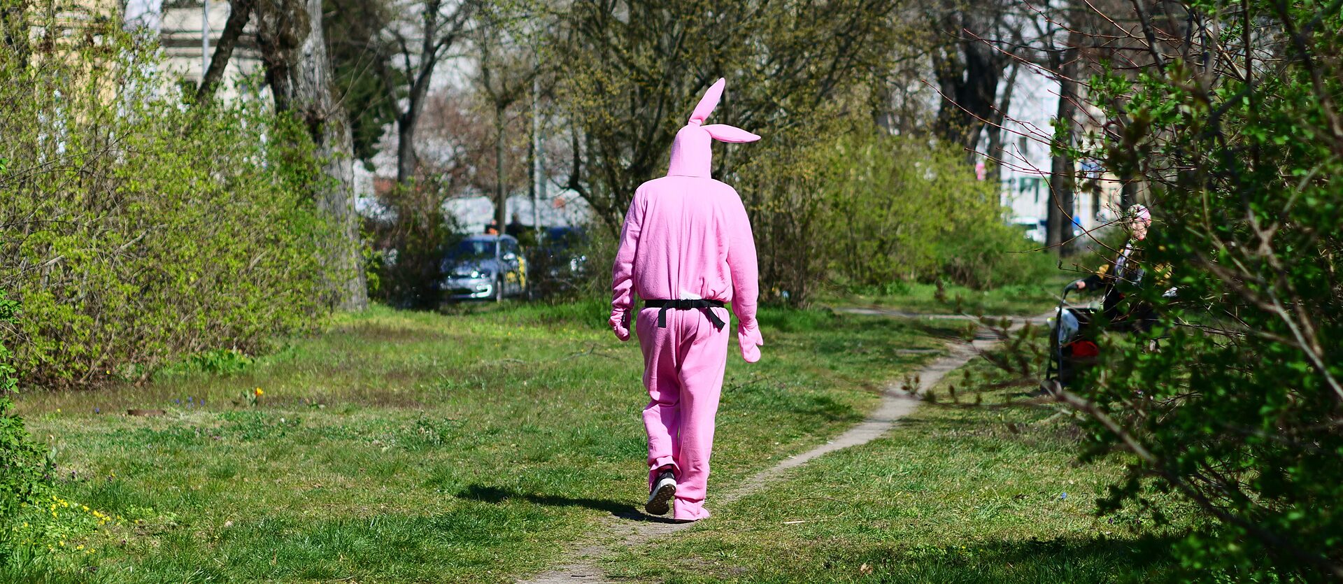 Five animals you wouldn't expect to find in German cities - The Germany ...