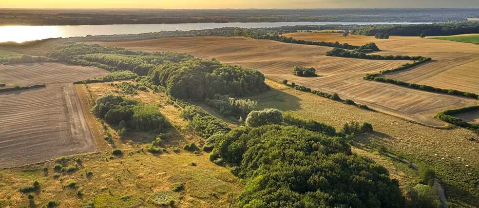 Luftaufnahme: Man sieht einen grünen Waldstreifen, rechts und links davon ist Ackerfläche. Im Hintergrund sieht man einen See und Landschaft bei Sonnenuntergang