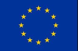 European Union Logo