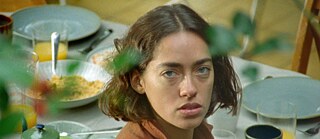 As minhas sensações são tudo o que tenho para oferecer / My Senses Are All I Have To Offer