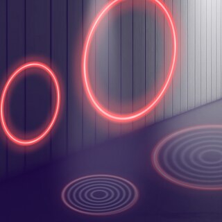 Banner Rose Neon mit dunklem Hintergrund Bildende Kunst AMT