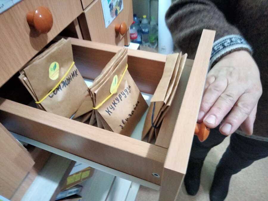 Насіння соняшнику та кукурудзи, Райгородська бібліотека на Вінниччині.