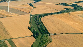 Aus der Vogelperspektive sieht man einen Grünstreifen inmitten gelber Felder.