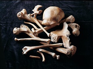 Neanderthal Museum 02