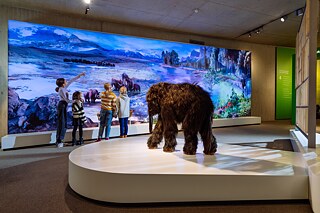 Neanderthal Museum 05