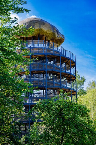 Neanderthal Museum 07