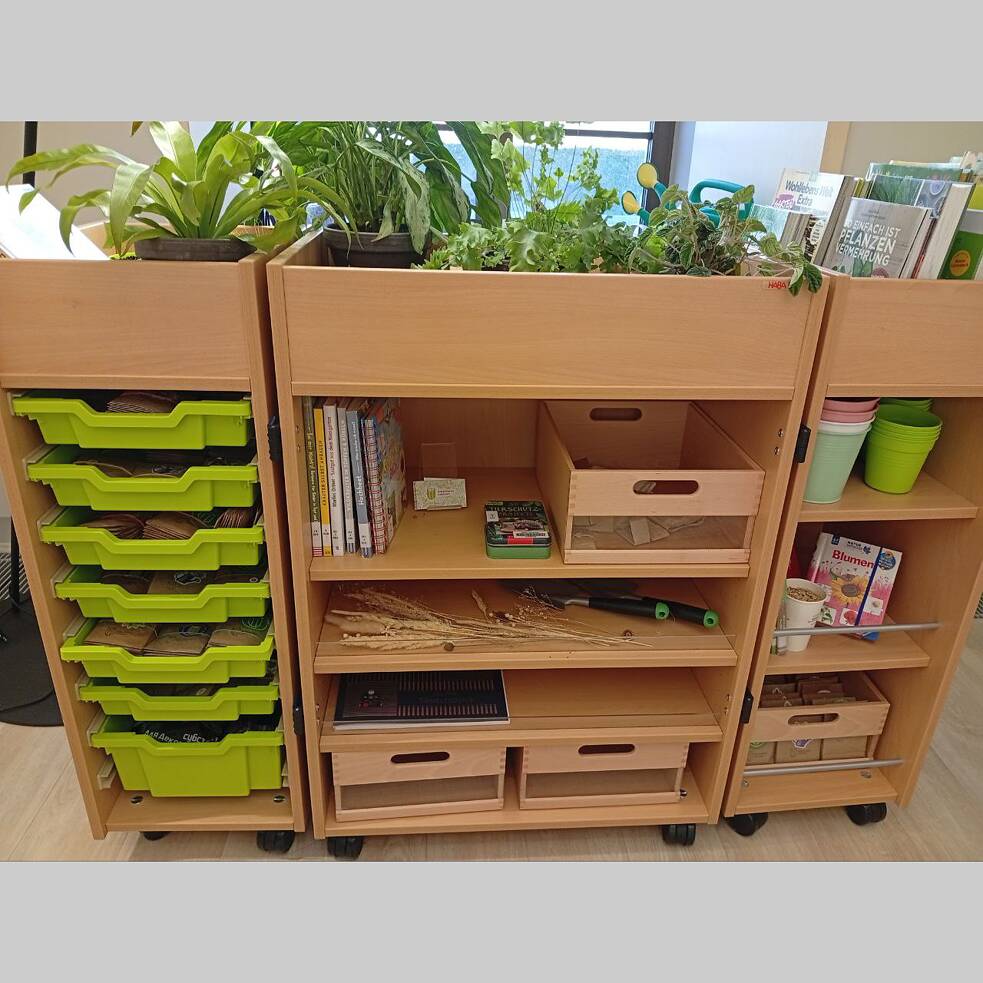 Полиця з насінням та рослинами в бібліотеці Goethe-Institut в Києві.