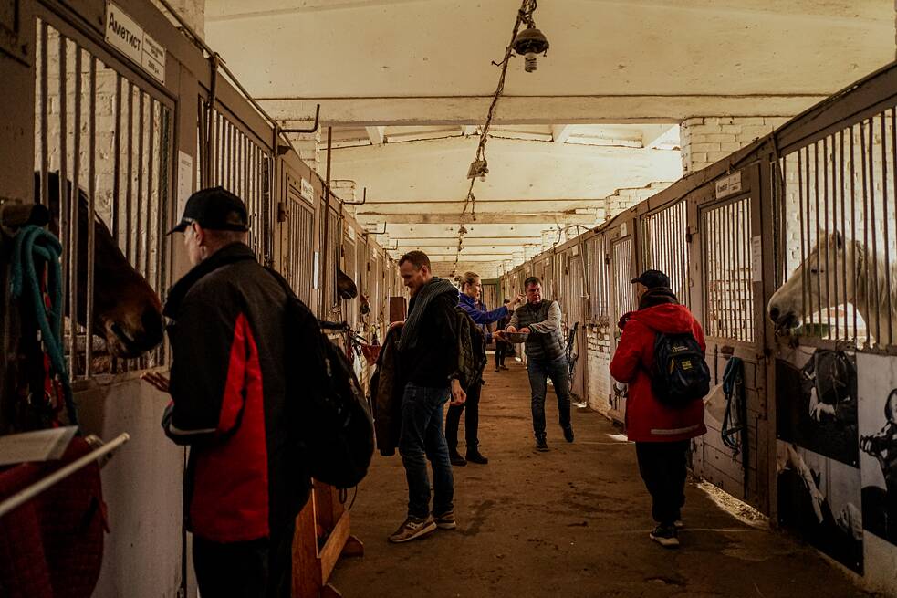 Чоловіки годують коней у стайні після сеансу іпотерапії.