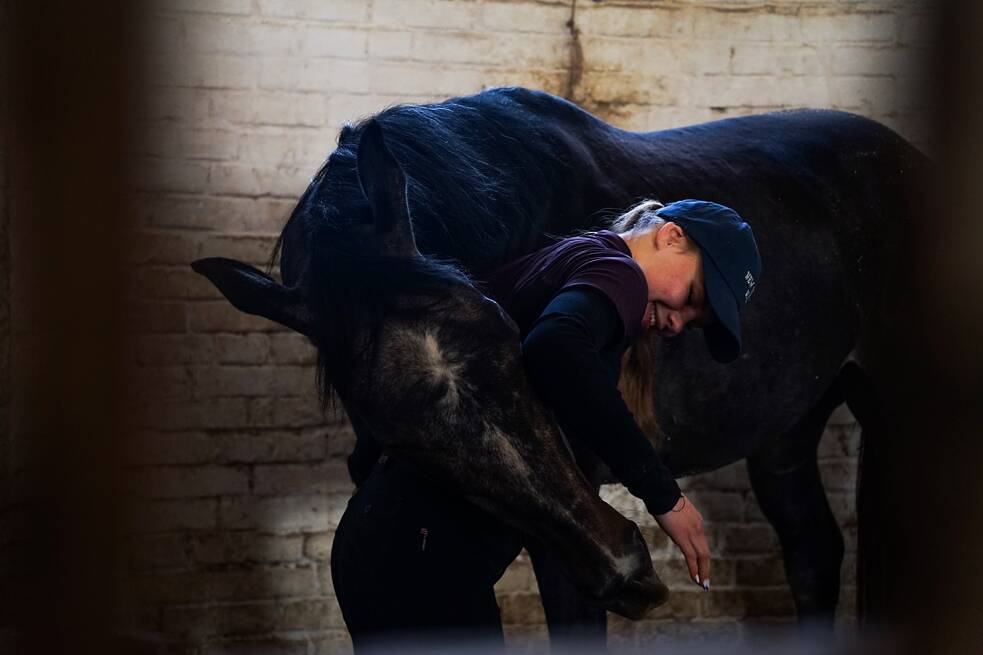 Працівниці реабілітаційного центру готують коней до занять із ветеранами