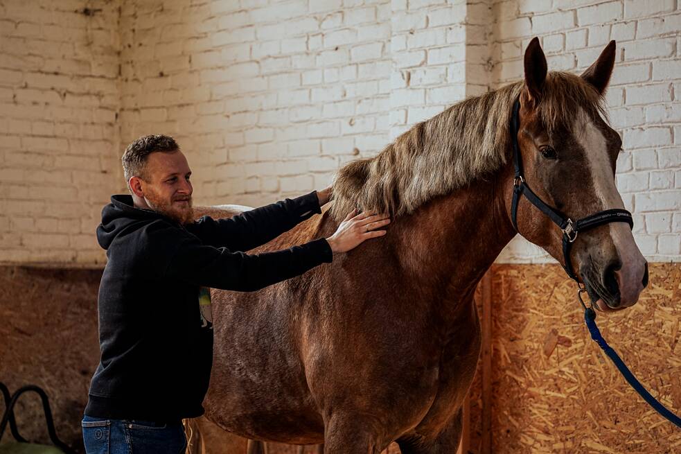 Андрій контактує із конем під час сеансу іпотерапії.