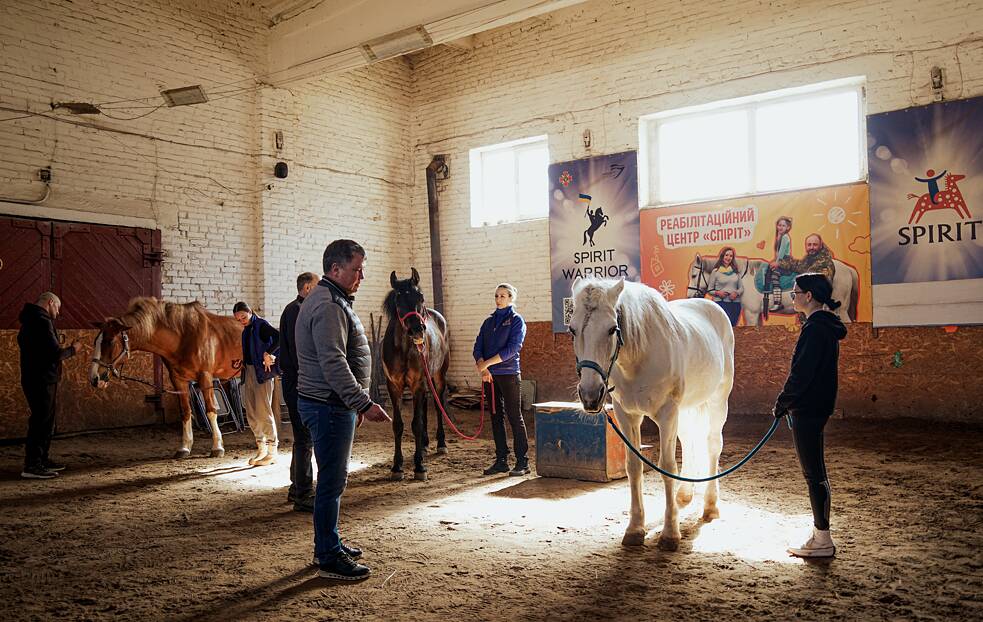 Чоловіки обирають коней та пробують знайти із ними контакт.
