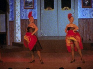 Image copyright of the artist, courtesy of Video Data Bank, the School of the Art Institute of Chicago.