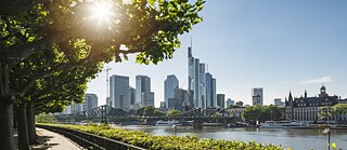 Panoramablick auf Frankfurt am Main mit moderner Skyline, dem historischen Eisernen Steg und dem Mainufer bei sonnigem Wetter.