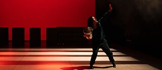 O grande incencio - schimmelpfennig - sarabela 2025 - horizontal