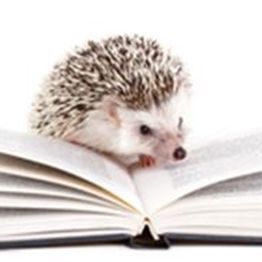 ein aufgeschlagenes Buch