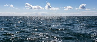 A wide view of the open ocean under a clear blue sky, with small waves . Fluffy white clouds are scattered across the distant sky, and the horizon line cleanly separates sea and sky