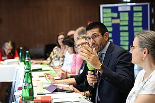 Prof. Ubaldo Villani-Lubelli