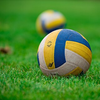 Ein Volleyball auf einer Wiese.