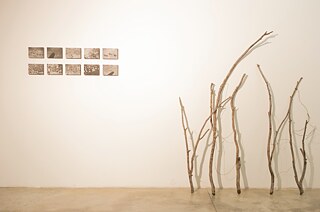 Das Bild zeigt eine Kunstinstallation in einer Galerie. An der linken Wand sind zehn kleine, rechteckige Fotografien oder Drucke in zwei Reihen zu je fünf Bildern in einem Raster angeordnet. Auf der rechten Seite lehnen mehrere hohe, dünne Äste oder Stäbe senkrecht an der Wand. Der Boden besteht aus glattem, grauem Beton.