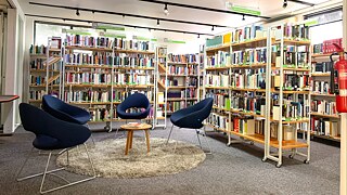 Library Goethe-Institut Johannesburg