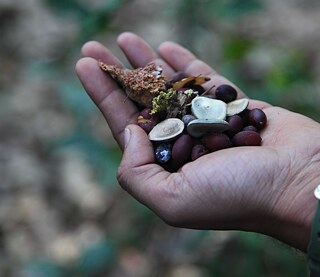 Seed Stories Pune (Home Page)