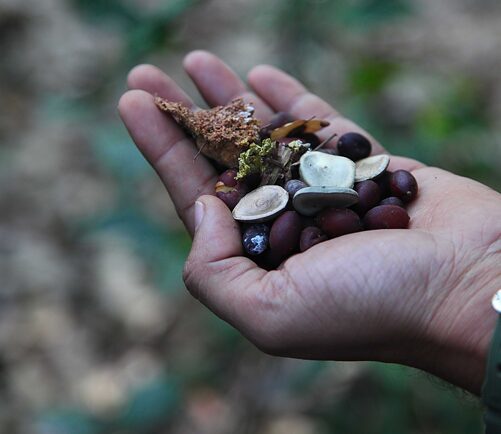 Seed Stories Pune (Home Page)