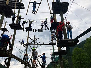 Jugendliche im Hochseilgarten