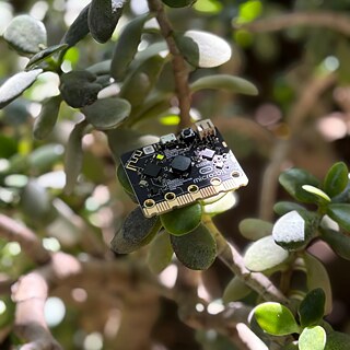 Roboteca_BBC micro:bit im Garten des Goethe-Instituts