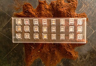 Farmers of the Forest (Page Banner)