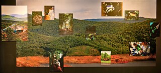 Farmers of the Forest (Page Banner 1)