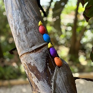 Code & Go Mouse Mania no jardim do Goethe-Institut