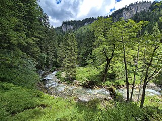 Ein Bach in den Bergen