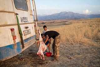 Two brothers cut up a goat carcass in a field near Kök-Tash village, Kyrgyzstan. Local farmers rely on rainwater to irrigate these fields. In the last harvesting season, it rained only once. 