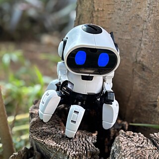 Roboteca_Chipz im Garten des Goethe-Instituts